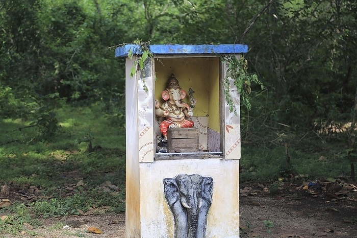 Sri Lanka Roadside Hindu shrine near Sigiriya, Central Province, Sri Lanka, Asia, by Ian Murray