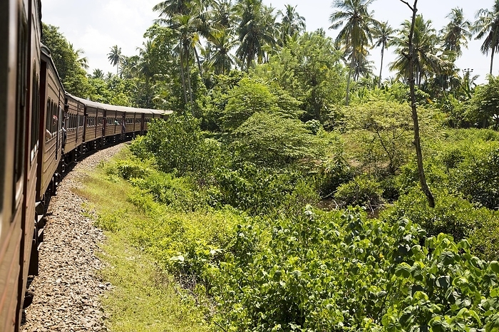 Sri Lanka Railway train passing through countryside between Galle and Mirissa, Sri Lanka, Asia, by Ian Murray
