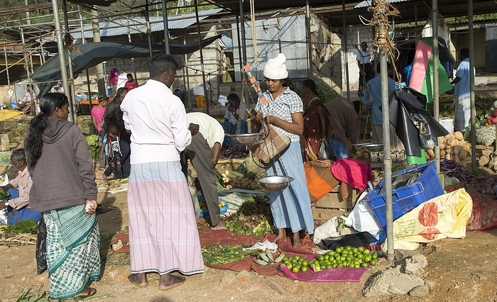 Sri Lanka Fruit and vegetable market in the town of Haputale, Badulla District, Uva Province, Sri Lanka, Asia, by Ian Murray