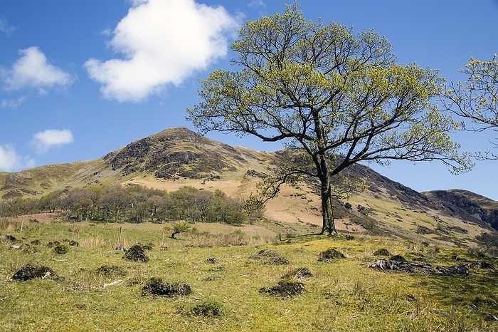 United Kingdom Landscape view of High Snockrigg Fell hill Buttermere, Cumbria, England, UK, by Ian Murray