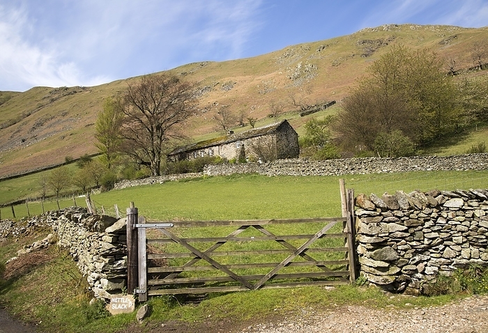 United Kingdom Boredale valley, Martindale, Lake District national park, Cumbria, England, UK, by Ian Murray