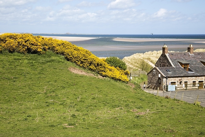 United Kingdom Coastal landscape at Budle Bay, Northumberland coast, England, UK, by Ian Murray