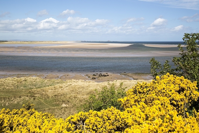 United Kingdom Coastal landscape of tidal sands, Budle Bay, Northumberland coast, England, UK, by Ian Murray