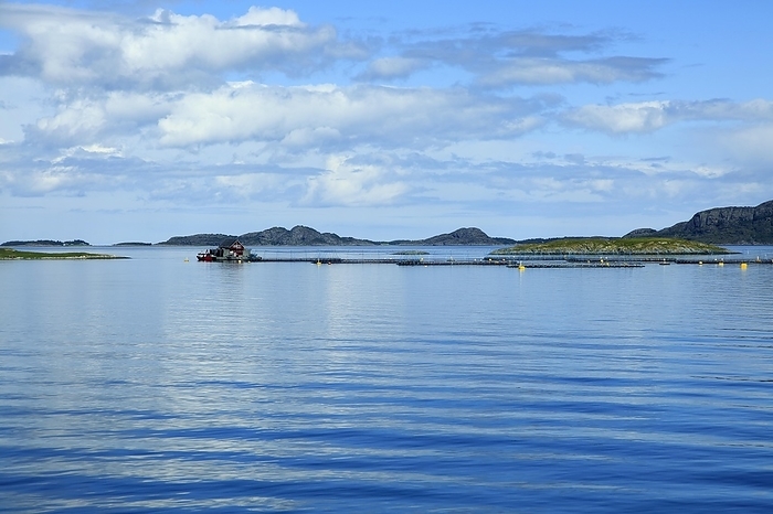 Norway Fish faming small islands south of Trondheim, Sor Trondelag county, Norway, Europe, by Ian Murray