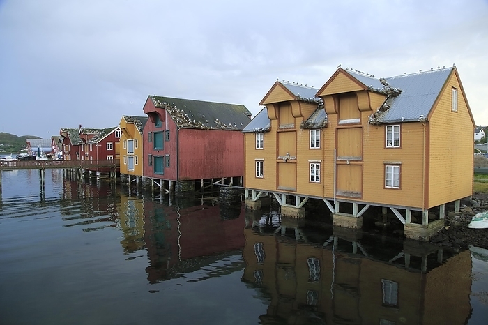 Norway Traditional harbour buildings in fishing village of Rorvik, Norway, Europe, by Ian Murray