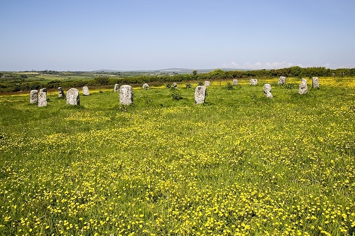 United Kingdom The Merry Maidens prehistoric stone circle, St Buryan, Cornwall, England, UK, by Ian Murray