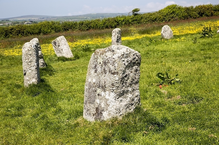 United Kingdom The Merry Maidens prehistoric stone circle, St Buryan, Cornwall, England, UK, by Ian Murray