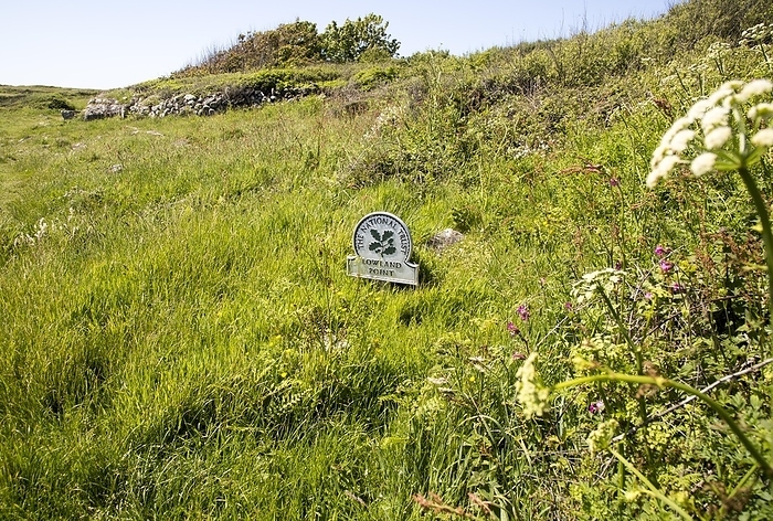 United Kingdom National Trust sign, Lowland Point, Lizard Peninsula, Cornwall, England, UK, by Ian Murray