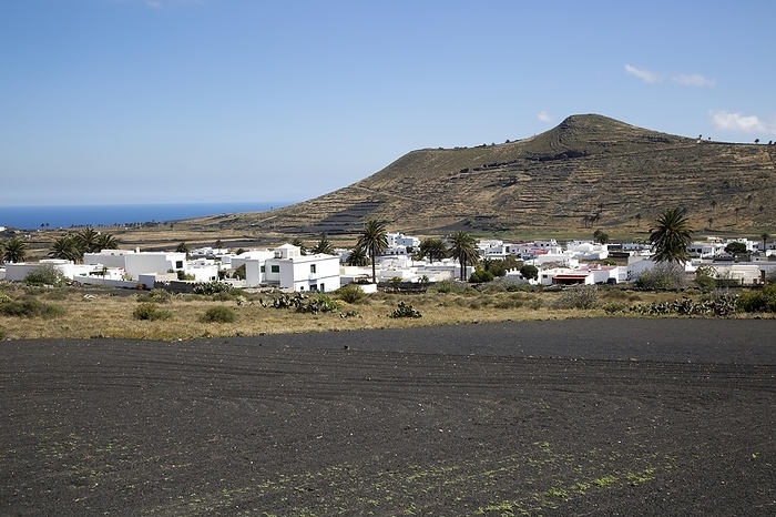 Spain View over cactus black soil field and whitewashed houses, village of Maguez, Lanzarote, Canary Islands, Spain, Europe, by Ian Murray