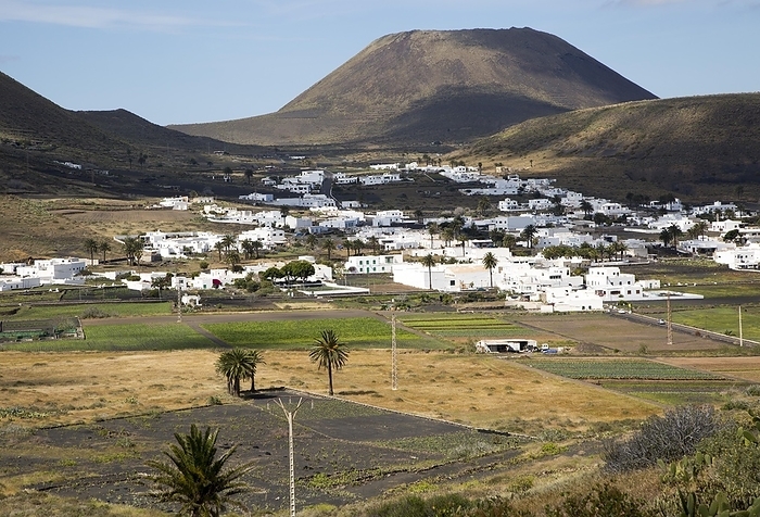 Spain View over cactus plants and whitewashed houses to Monte Corona volcano cone, village of Maguez, Lanzarote, Canary Islands, Spain, Europe, by Ian Murray