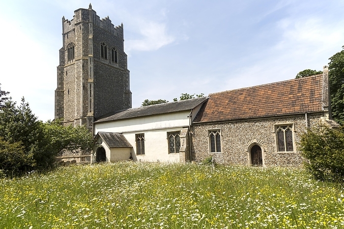 United Kingdom Parish church of St Mary, Horham, Suffolk, England, UK, by Ian Murray