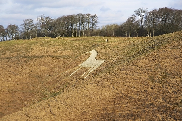 United Kingdom White Horse in chalk escarpment hillside, Cherhill, Wiltshire, England, UK, by Ian Murray