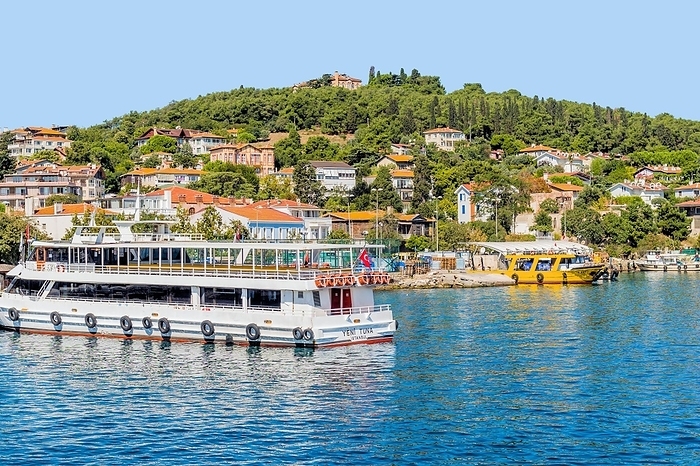 Turkey Tourist ferry docked at pier on Princess Island in Turkey. in Turkey, by aminkorea