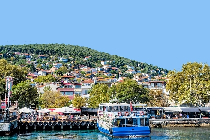 Turkey Tourist ferry docked at pier on Princess Island in Turkey. in Turkey, by aminkorea