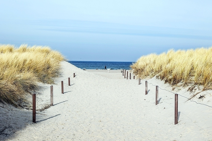 Path through the dunes to the beach, Warnemünde, 09.02.2023, by Jochen Eckel