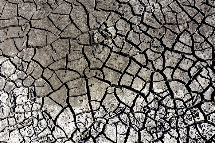 The bottom of a dried-up fish pond in Reckahn in Brandenburg looks like parched desert soil. The Plane, a river that usually fills the fish ponds with water, is dry and no longer carries any water, Reckahn, 09/08/2022, by Jochen Eckel