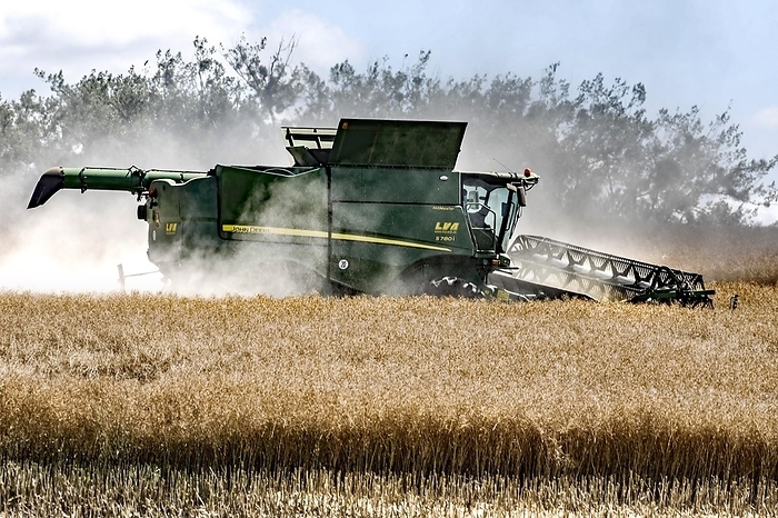 Grain harvest with combine harvester, Landin, 14.07.2022, by Jochen Eckel