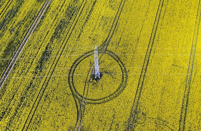 Aerial view of power line with power lines in a rapeseed field, Nauen, 20/05/2022, by Jochen Eckel