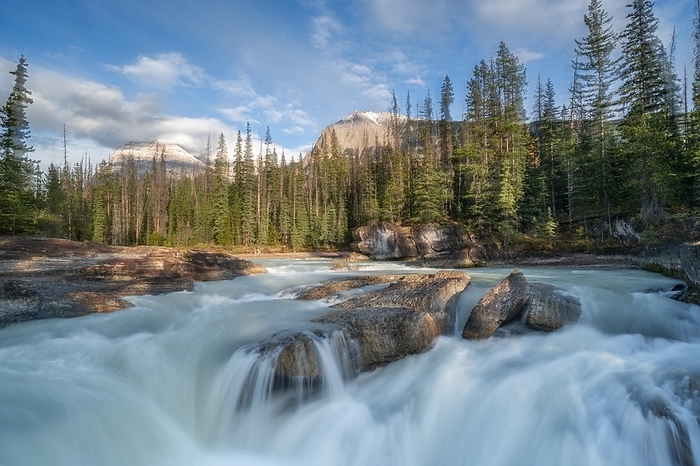Canada River and fall Canadian Rocky Mountains, Alberta Canada, by   Loredana De Sole