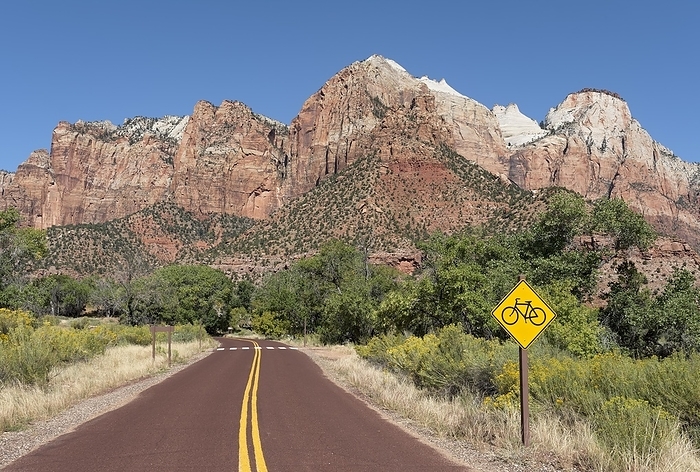 America Road in Zion Canyon, Zion National Park, Utah, USA, North America, by Daniel Meissner