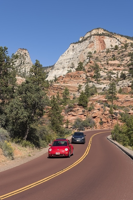 America Red VW bed on the panoramic Zion Mt.Carmel Highway through bizarre rocky landscape, Zion National Park, Utah, USA, North America, by Daniel Meissner