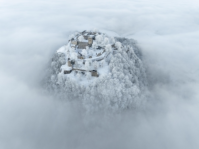 Germany Aerial view of the Hegau volcano Hohentwiel with Germany s largest fortress ruins rising out of the sea of fog, Singen am Hohentwiel, Constance district, Baden W rttemberg, Germany, Europe, by Markus Keller