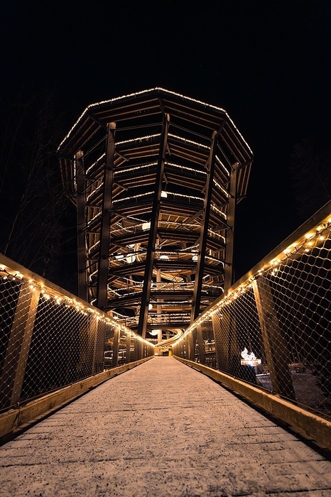 Germany Night time view of an illuminated wooden walkway and observation tower, Enchanting forest dwellers, Bad Wildbad treetop walk, Black Forest, Germany, Europe, by Manuel Kamuf
