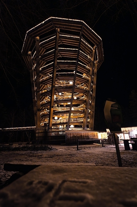 Germany An observation tower illuminated at night from a low perspective, Enchanting forest dwellers, Treetop Walk Bad Wildbad, Black Forest, Germany, Europe, by Manuel Kamuf