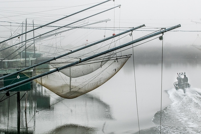 Italy Eel nets on a branch of the Po in Italy. In the early morning, the fog has the river landscape in its grip, by picsol