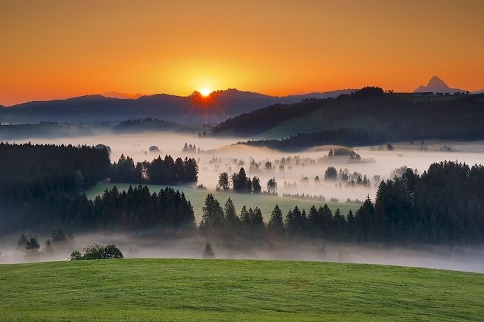 Switzerland View over the Rothenthurm high moor at sunrise in the canton of Schwyz, Switzerland, Europe, by Patrick Frischknecht