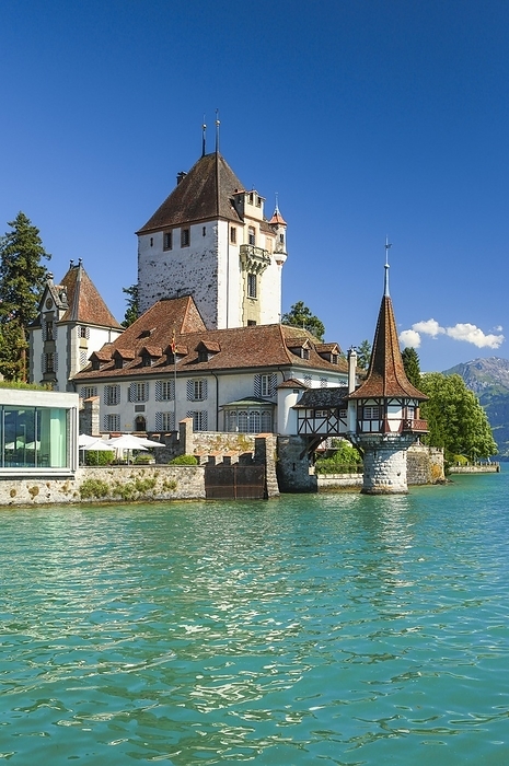 Switzerland Oberhofen Castle on Lake Thun, Thun, Switzerland, Europe, by Patrick Frischknecht