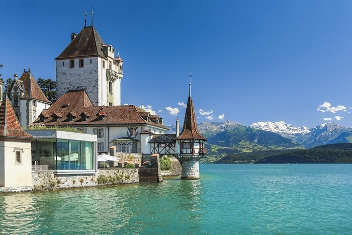Switzerland Oberhofen Castle on Lake Thun with a view of the mountains with the snow covered Bl emlisalp, Canton of Bern, Switzerland, Europe, by Patrick Frischknecht
