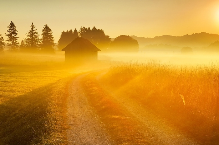 Switzerland Golden morning light streams through fields of fog and the Rothenthurm high moor, Schwyz, Switzerland, Europe, by Patrick Frischknecht