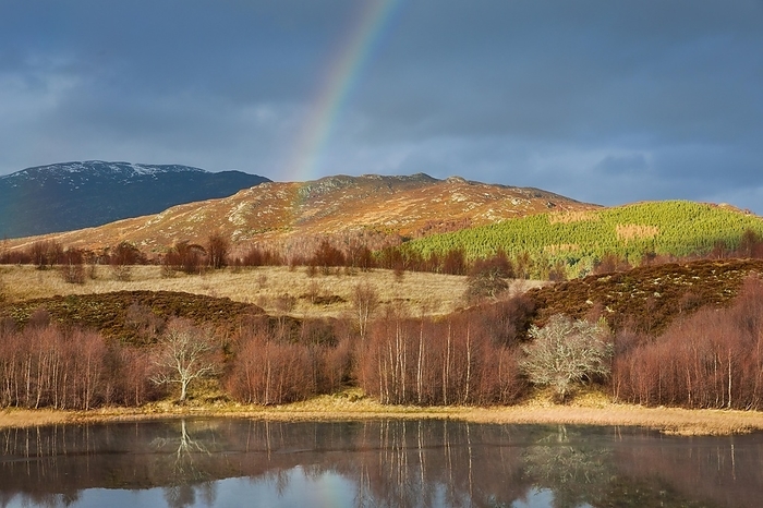 Scotland Atmospheric cloudy sky with rainbow over mountainous, partly wooded Highlands in the west of Scotland, with red branched birch trees at the edge of a small loch, winter near Contin, Great Britain, by Patrick Frischknecht