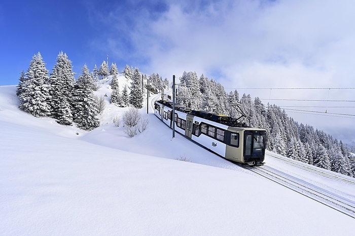 Switzerland Cogwheel railway travelling through snow covered forest, Rigi Kulm, Canton Schwyz, Switzerland, Europe, by Stefan Huwiler