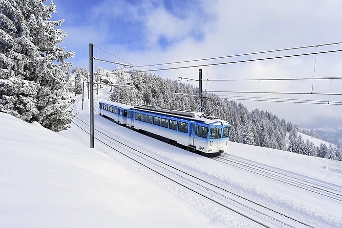 Switzerland Cogwheel railway travelling through snow covered forest, Rigi Kulm, Canton Schwyz, Switzerland, Europe, by Stefan Huwiler
