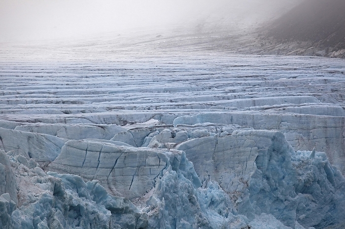 Norway Glacier in the Magdalenefjord on Svalbard, Spitsbergen, Norway, Europe, by alimdi   Arterra