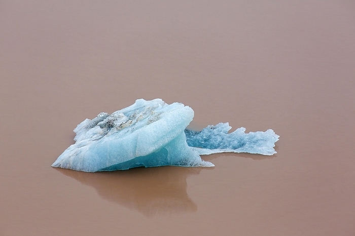 Norway Ice floe from the Erikbreen glacier in Liefdefjorden, fjord in Haakon VII Land on Spitsbergen, Svalbard, Norway, Europe, by alimdi   Arterra