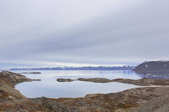 Norway View over Hornbaekpollen, Hornb kpollen, small bay at Liefdefjorden, east of Erikbreen, Haakon VII Land in summer, Spitsbergen, Svalbard, Norway, Europe, by alimdi   Arterra