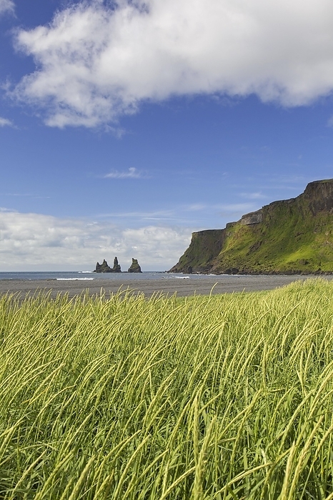 Iceland Reynisdrangar, basalt sea stacks near the village V k   M rdal in summer, southern Iceland, by alimdi   Arterra