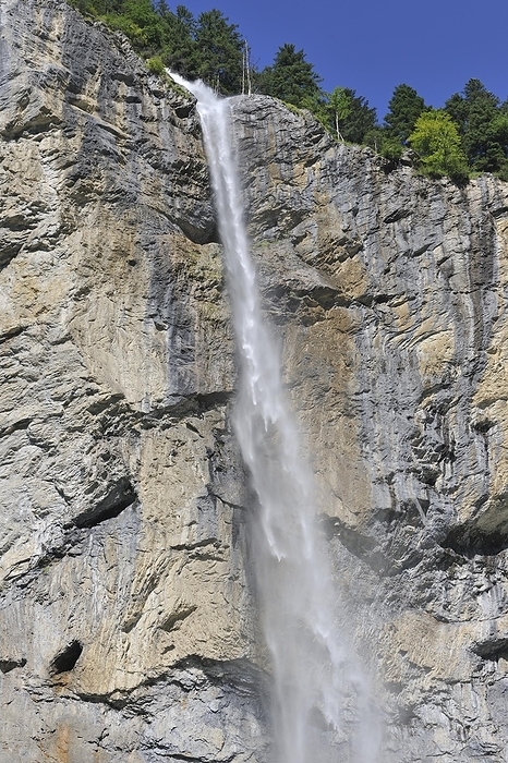 Switzerland The 300m high Staubbach Falls at Lauterbrunnen in the Bernese Oberland, Switzerland, Europe, by alimdi   Arterra