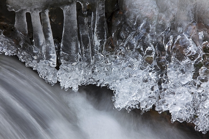 Germany Icicles over water along river in winter in the Harz National Park, Germany, Europe, by alimdi   Arterra