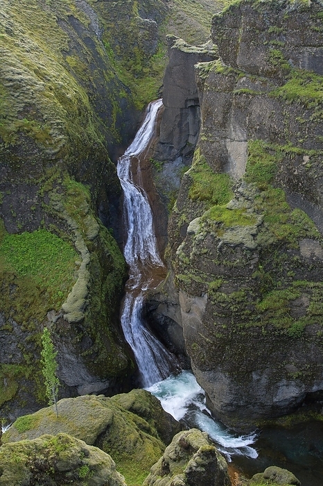 Iceland Waterfall on the Fja r  river flowing through the Fja r rglj fur, Fjadrargljufur canyon near Kirkjub jarklaustur in summer, Iceland, Europe, by alimdi   Arterra