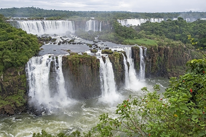 Iguazu Falls Iguaz  Falls, Igua u Falls, waterfalls of the Iguazu River on the border of the Argentine province of Misiones and the Brazilian state of Paran , by alimdi   Arterra
