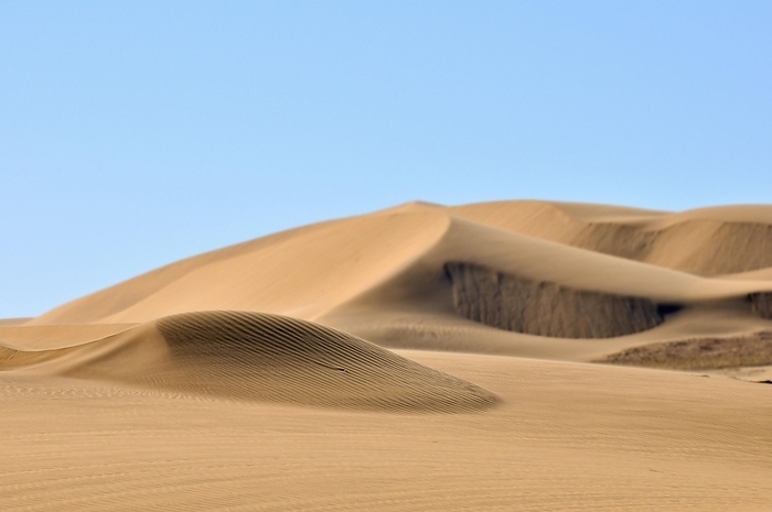 Namibia Sand ripples on dunes in the Namib desert, Namibia, Africa, by alimdi   Arterra   Loulou Beavers