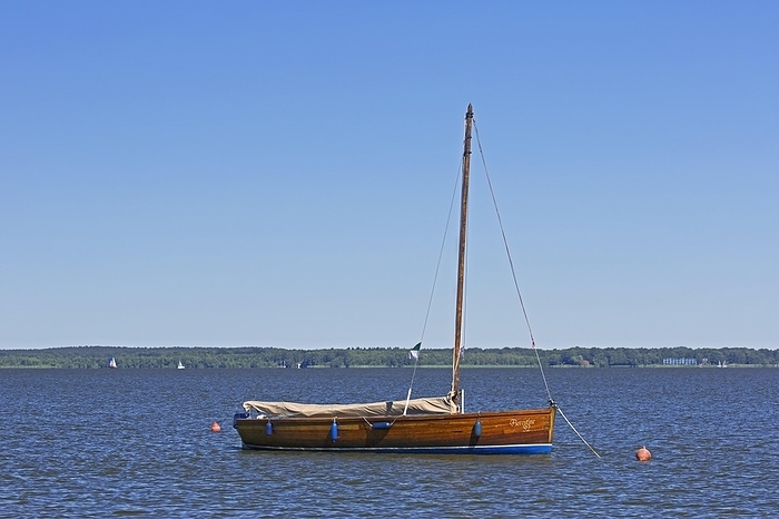 Germany Auswanderer, traditional wooden sailing boat in Steinhuder Meer, Lake Steinhude, Lower Saxony, Niedersachsen, Germany, Europe, by alimdi   Arterra   Sven Erik Arndt