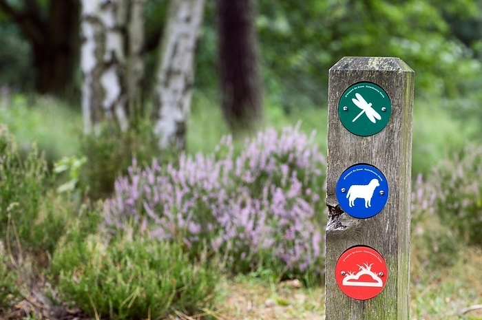 Belgium Colourful markers for walkers on signpost at the nature reserve Kalmhoutse Heide, Antwerp, Belgium, Europe, by alimdi   Arterra   Philippe Cl ment
