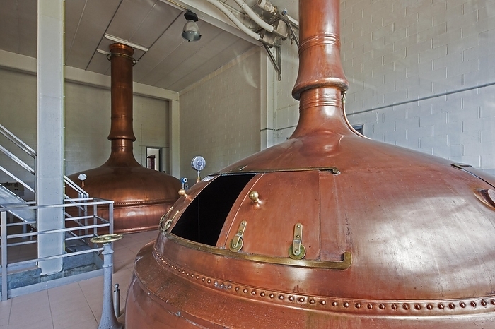 Copper brew kettles at Brouwerij Lindemans, Belgian brewery at Vlezenbeek, producer of geuze and kriek beer, by alimdi / Arterra / Johan De Meester