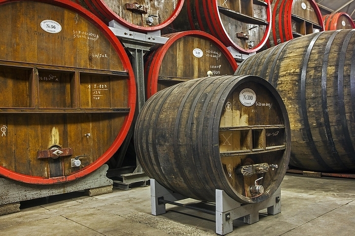 Oak barrels at Brouwerij Boon, Belgian brewery at Lembeek near Brussels, producer of geuze and kriek beer, by alimdi / Arterra / Johan De Meester