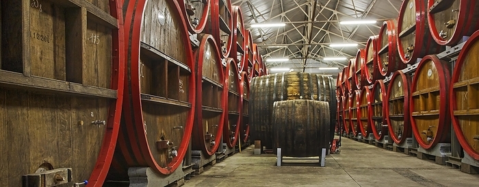 Oak barrels at Brouwerij Boon, Belgian brewery at Lembeek near Brussels, producer of geuze and kriek beer, by alimdi / Arterra / Johan De Meester